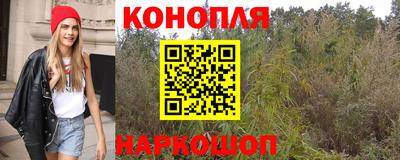 хмурый Новоалександровск