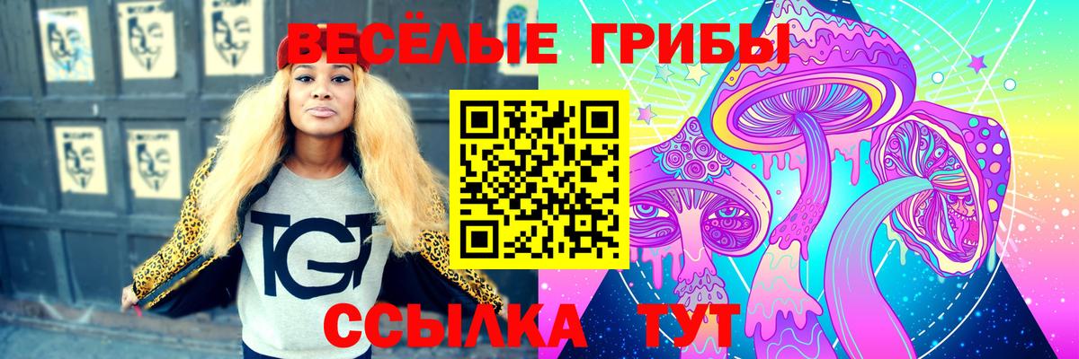 Владивосток  Галлюциногенные грибы GOLDEN TEACHER  Вход с VPN 